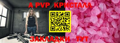 гашик Донецк