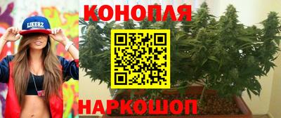 гашик Донецк
