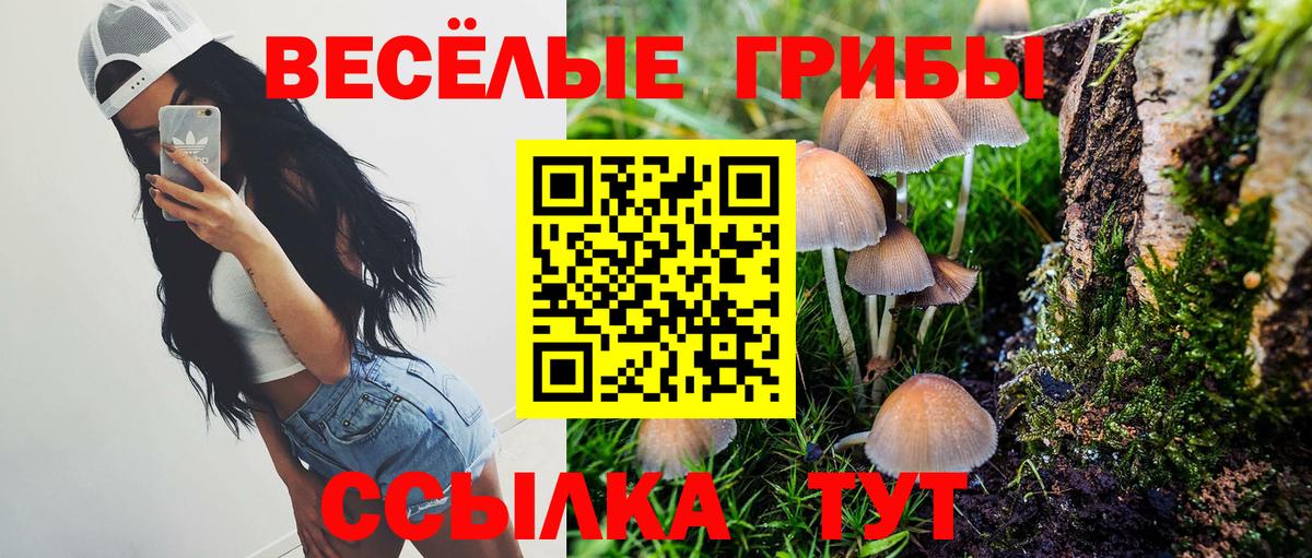 Галлюциногенные грибы GOLDEN TEACHER Заволжье