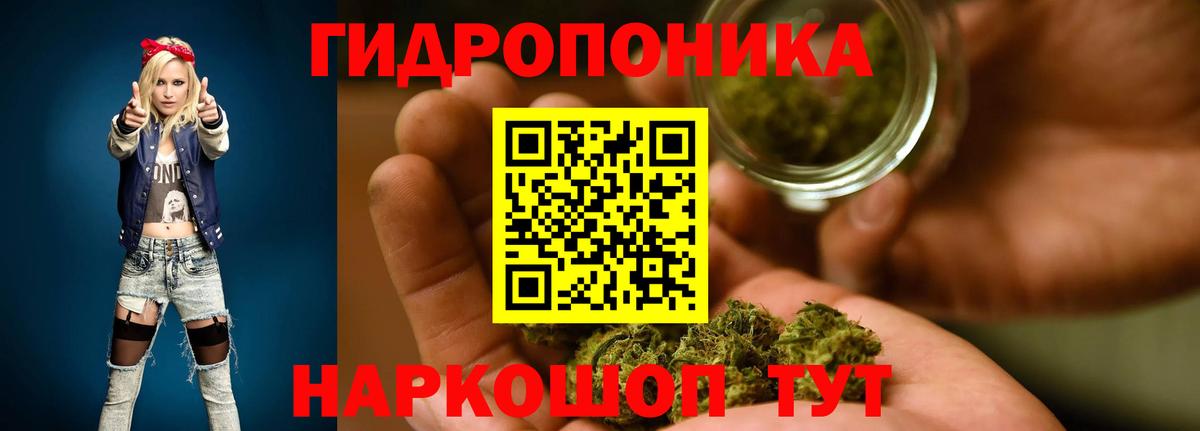 Конопля сатива  Вход с VPN  Заволжье  Бошки марихуана план 